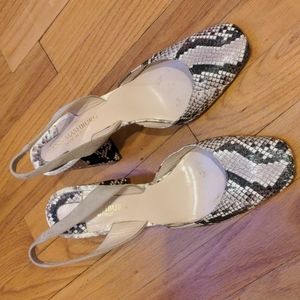 Ann  Mashburn Sz 39